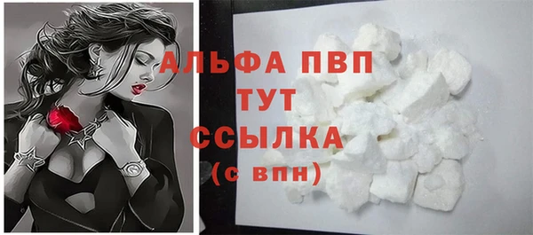 ECSTASY Надым