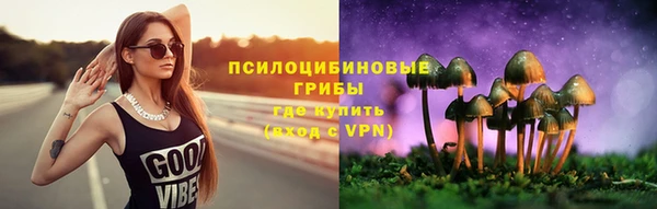 соль ск Наволоки