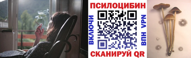 продажа наркотиков  Красный Сулин  Псилоцибиновые грибы Cubensis 
