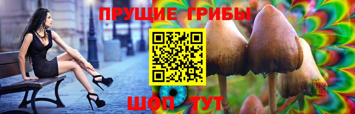 Псилоцибиновые грибы ЛСД  Вход с VPN  даркнет сайт  Красный Сулин  Псилоцибиновые грибы мицелий 