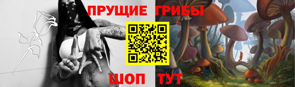 Галлюциногенные грибы прущие грибы Красный Сулин